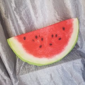 Watermelon Pillow